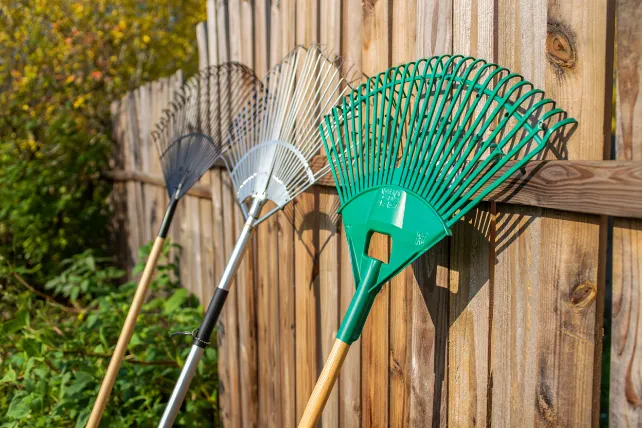 Какие веерные грабли лучше выбирать: полное руководство