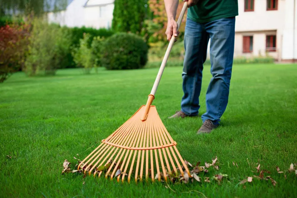 Оптимальные веерные грабли для газона
