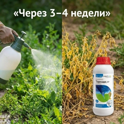 Гербицид сплошного действия Торнадо ВР, 1000 мл (6)