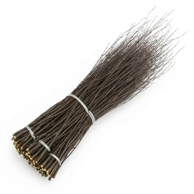 Метла березовая хозяйственная, заготовка (отгружается по 10шт), РБ