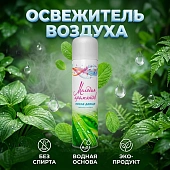 Освежитель воздуха 300 мл (405 см3) "Мелодия ароматов" После дождя (12)