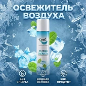 Освежитель воздуха 300 мл KOOL "Ледяная свежесть", аэрозольный (24)