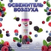 Освежитель воздуха 300 мл KOOL "Лесная ягода", аэрозольный (24)